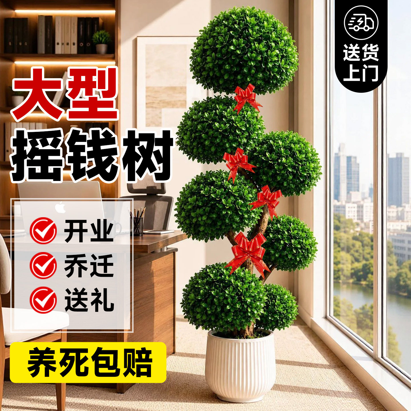 摇钱树盆栽金钱榕办公室大型发财树乔迁开业礼物室内客厅绿植招财
