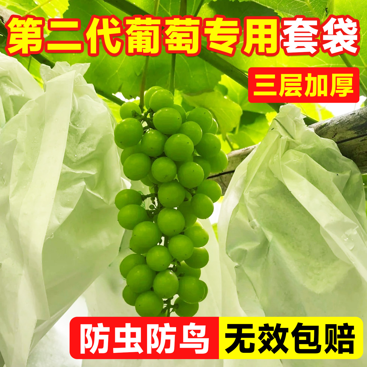 防虫防鸟防蝇蜂无效包赔葡萄套袋