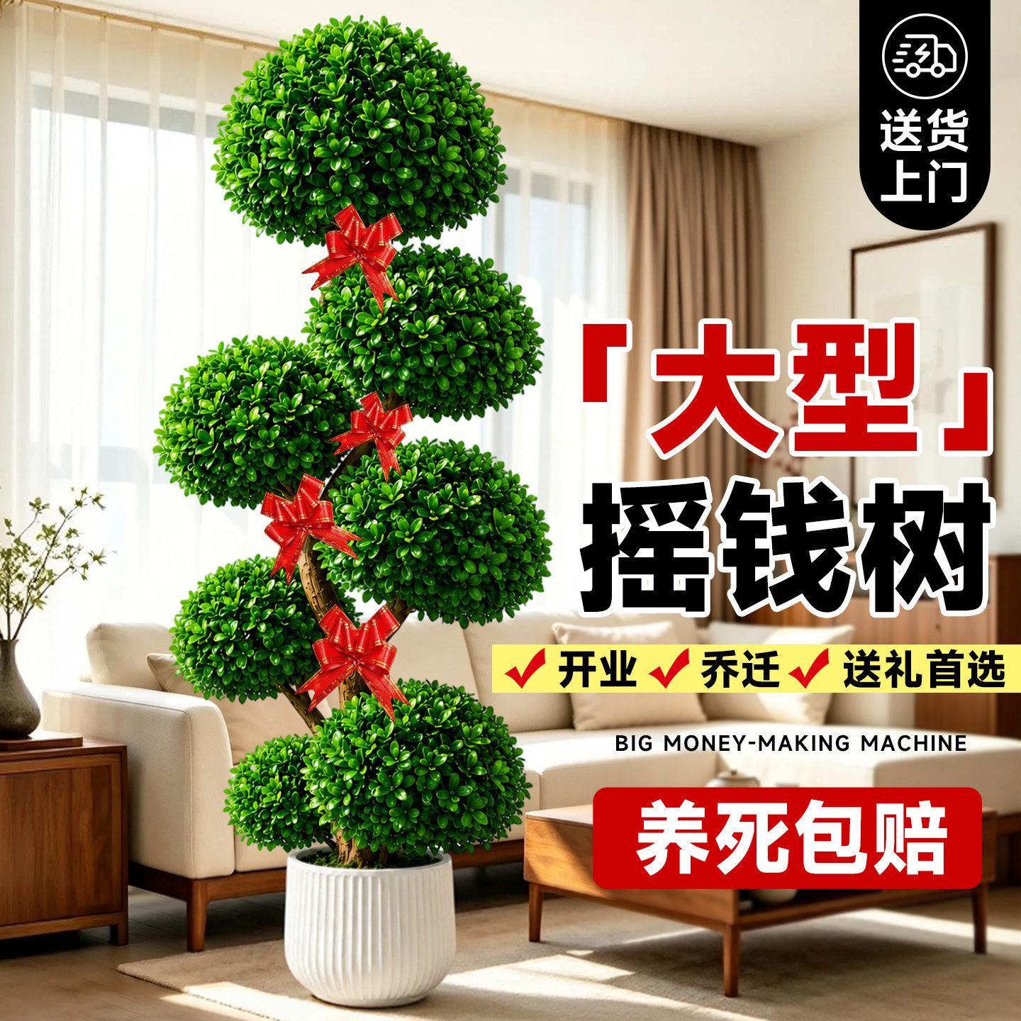 摇钱树盆栽金钱榕办公室大型发财树乔迁开业礼物室内客厅绿植招财
