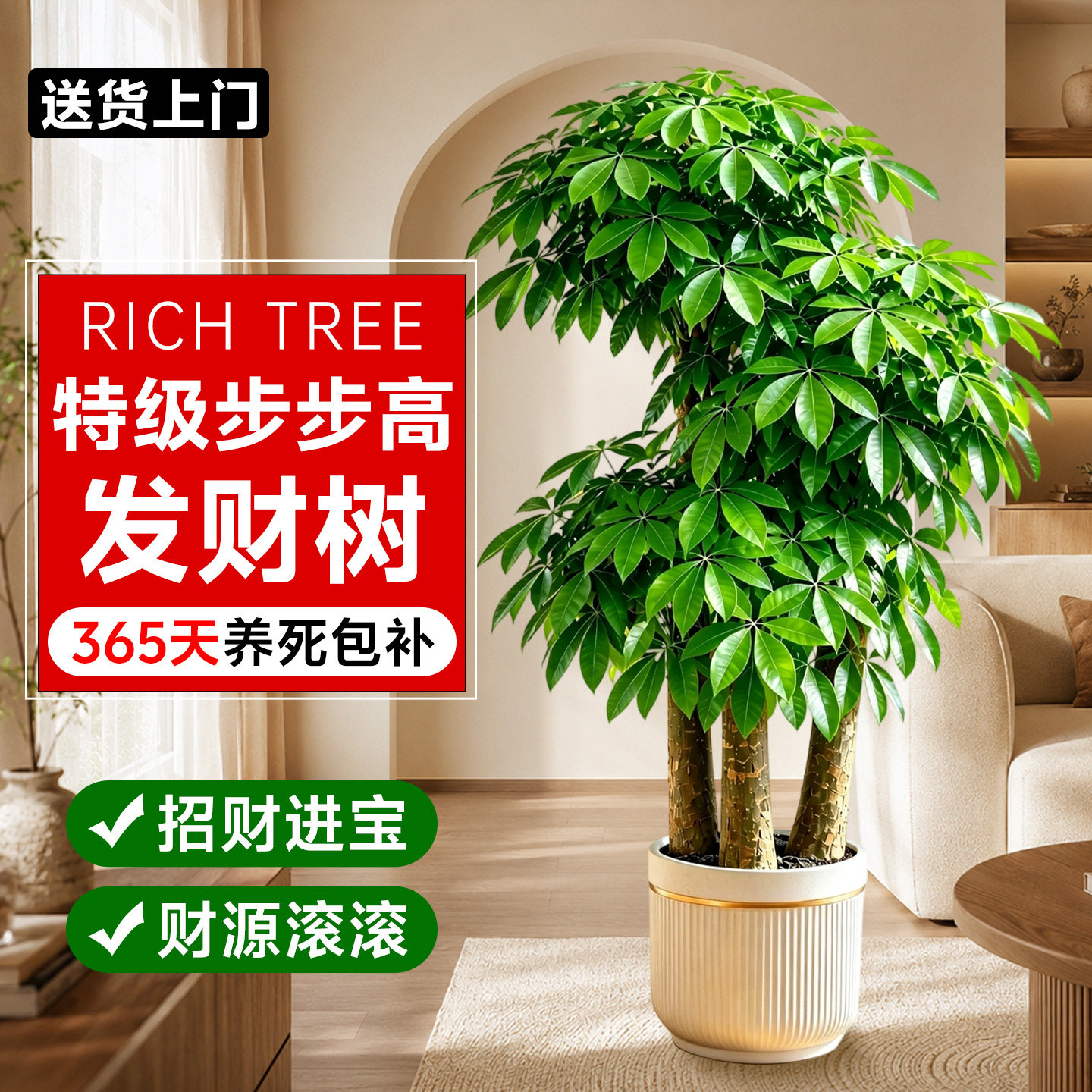 步步高发财树三杆客厅绿植大盆栽植物乔迁之喜大气办公室开业送礼
