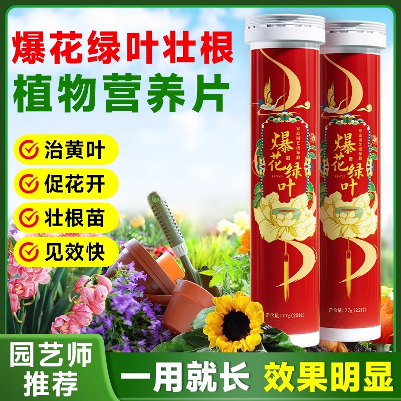 植物营养片通用型花肥养花果蔬菜发财树营养缓释肥片绿植花卉肥料