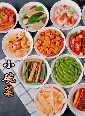 彷真预制菜展示样品树脂食物冷菜热菜食物模型假R菜道具美食小碗