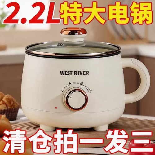 德国蒸煮一体小电电宿舍电锅家用电炒锅电饭煲多功能电热锅火锅