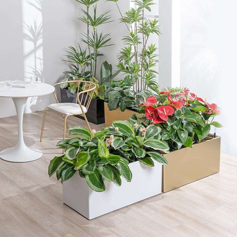 落地塑料长条花盆花箱组合隔断庭院广场商场围栏花槽花盆