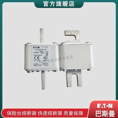 170M5013 5014 5015 5016 5017 5018 巴斯曼bussmann快速熔断器