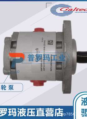 意大利GALTECH原装高泰克1SP/2SP/3SPGALTECH单联泵GALTECH多联泵