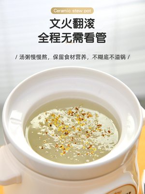 麦豆电炖锅宝宝煮粥锅婴儿辅食炖电炖家用陶瓷bb煲粥锅宿舍锅