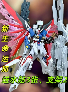 高高宙斯魅影命运海涅送水贴地台RG重牛飞翼拼装HG国产手办MG模型