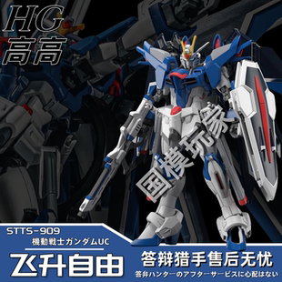高高飞升自由 RISING FREEDOM剧场版拼装国产手办HG模型