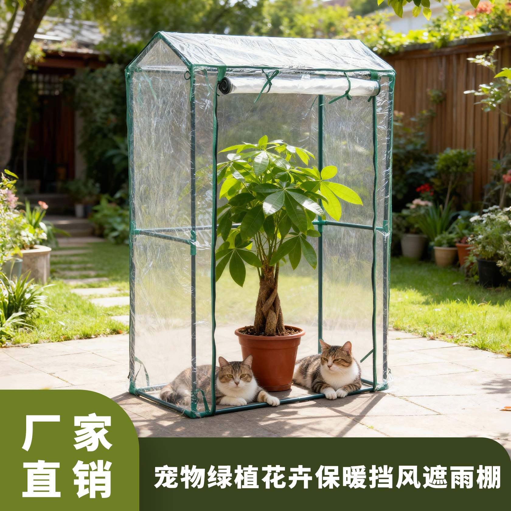多肉三角梅温室植物花房蔬菜花卉保暖罩棚菜地保温棚流浪猫防雨棚