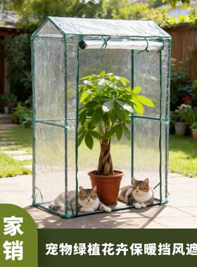 多肉三角梅温室植物花房蔬菜花卉保暖罩棚菜地保温棚流浪猫防雨棚