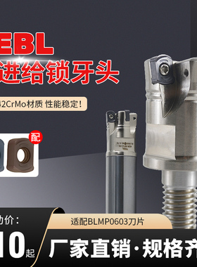 BLMP0603R/TEBL06快进给双面铣锁牙头特固克通装数控刀片开粗铣面