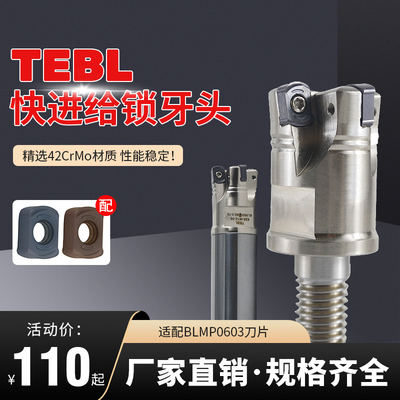 BLMP0603R/TEBL06快进给双面铣锁牙头特固克通装数控刀片开粗铣面