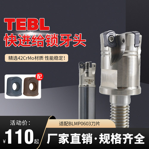 BLMP0603R/TEBL06快进给双面铣锁牙头特固克通装数控刀片开粗铣面