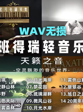 班得瑞U盘轻音乐无损高品质MP3音频古典休纯音乐车载音响收音机用