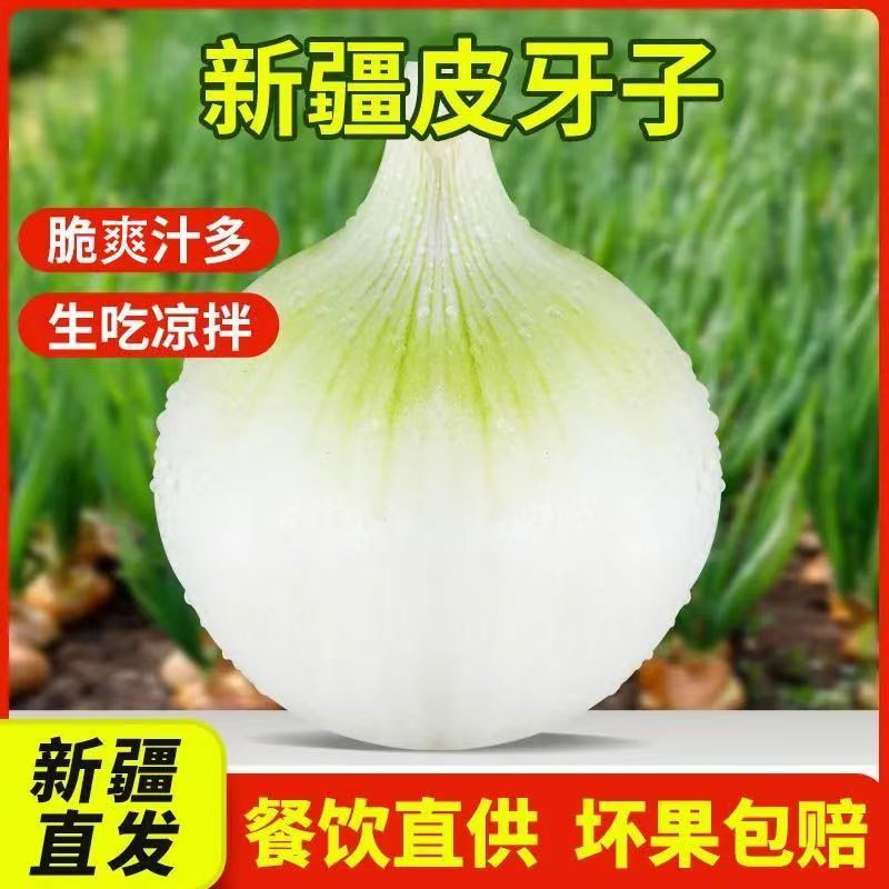 新疆阿克苏皮牙子白洋葱脆爽多汁