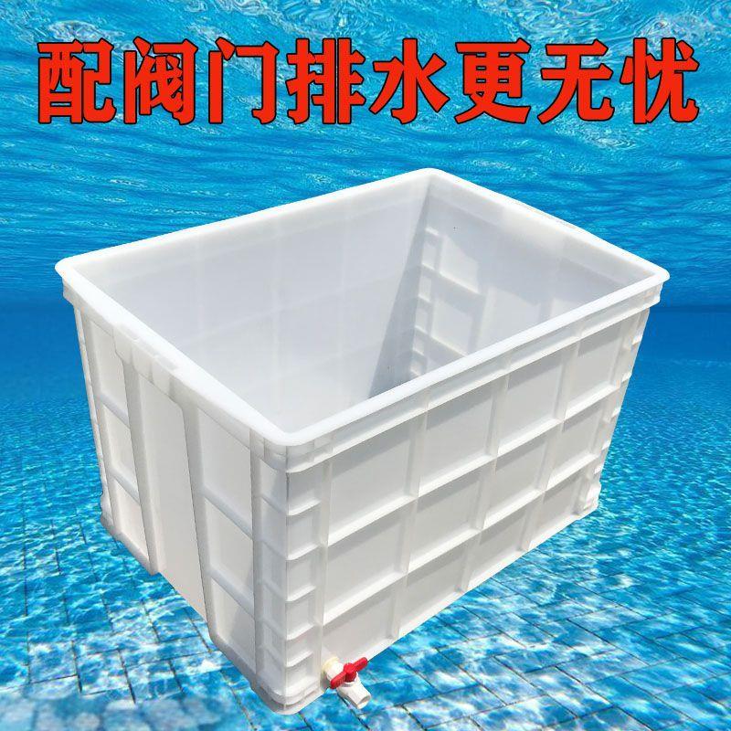 加厚塑料养鱼箱带排水可