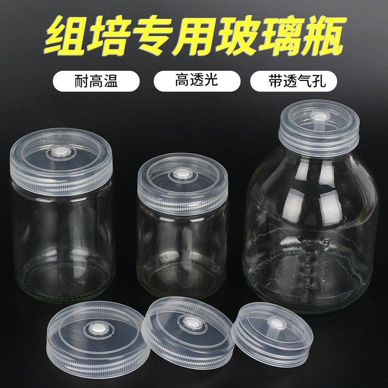 组培瓶耐高温食用菌种玻
