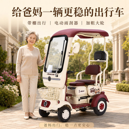 带电四带家用体棚老型动人代女小步轮动棚士电雨四飞一轮鸽车车棚
