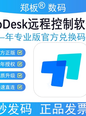 正版Todesk专业版远程控制软件一年使用期官网会员兑换码