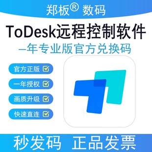正版Todesk专业版远程控制软件一年使用期官网会员兑换码