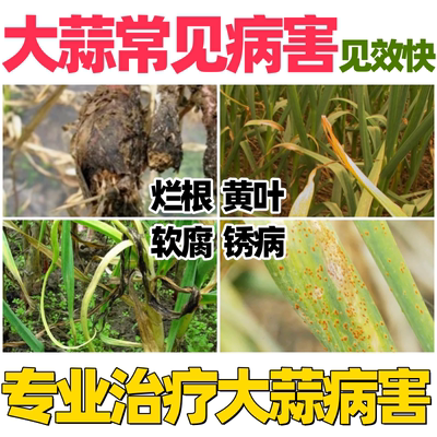 大蒜病专用药锈病根腐病黄叶烂根干尖病软腐病紫斑病全治杀菌正品