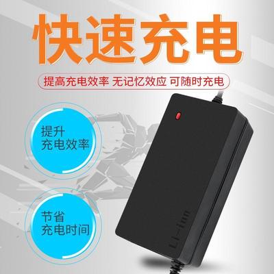 48v新日锂电池石充电器三智能dzl4812ss电子5a适用天静音能电动车