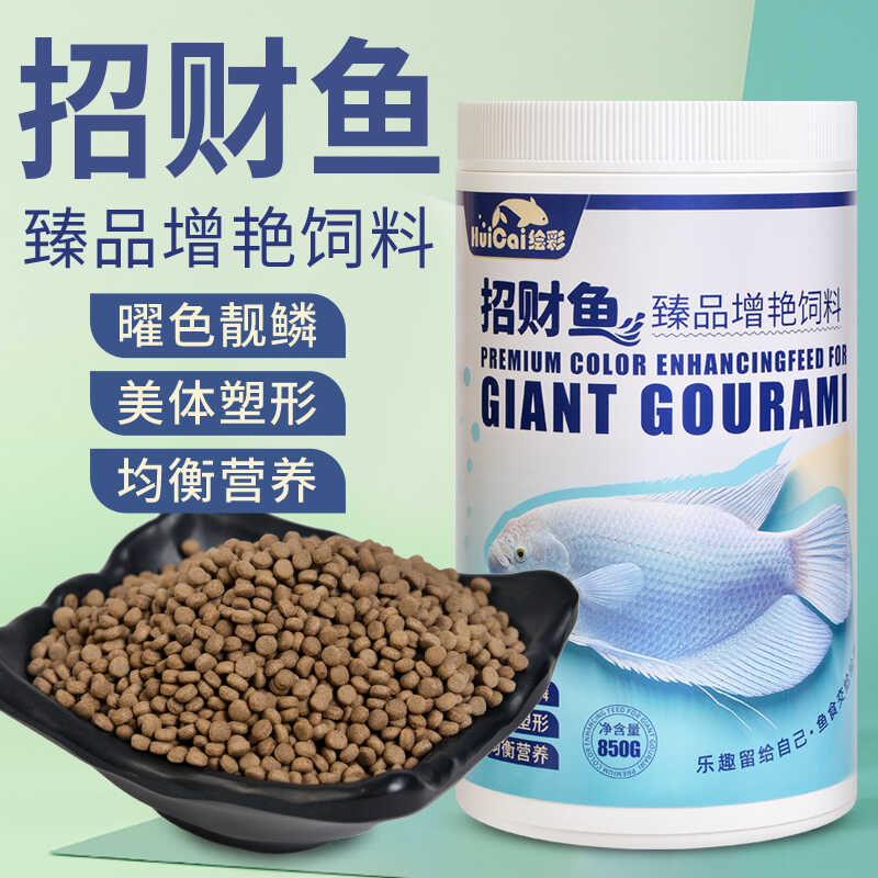 绘彩招财鱼饲料地图鱼战船热带鱼鱼食发财鱼白招财观赏鱼专用鱼粮