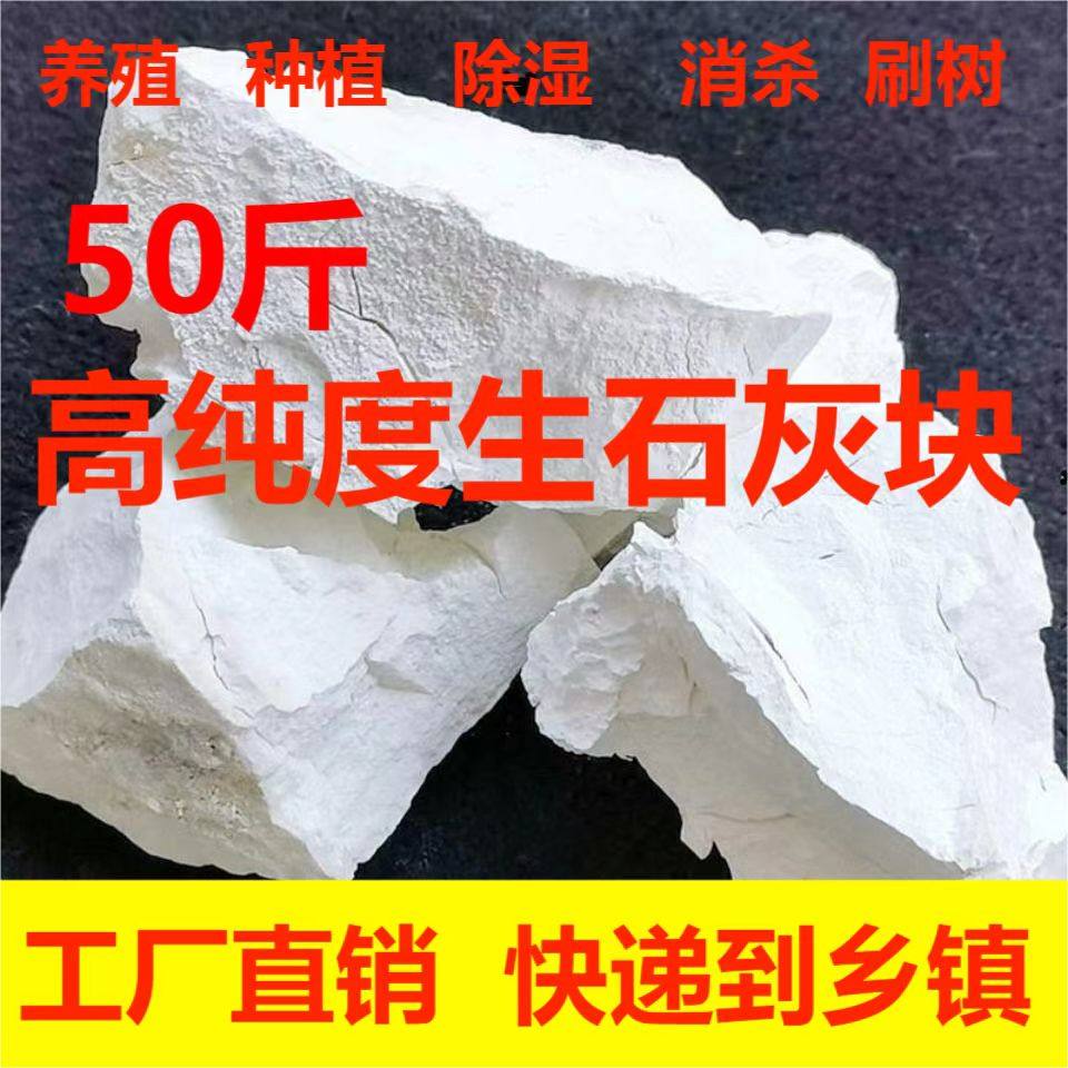 包邮生石灰块粉农用刷树