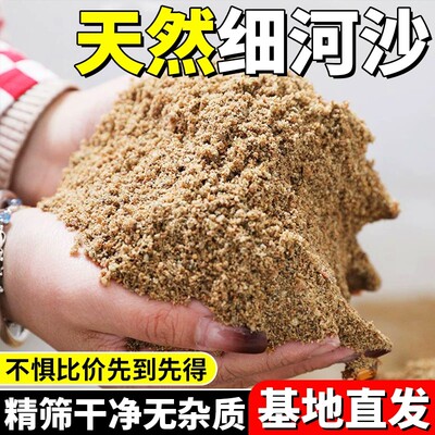 天然河沙黄沙种植实验填充