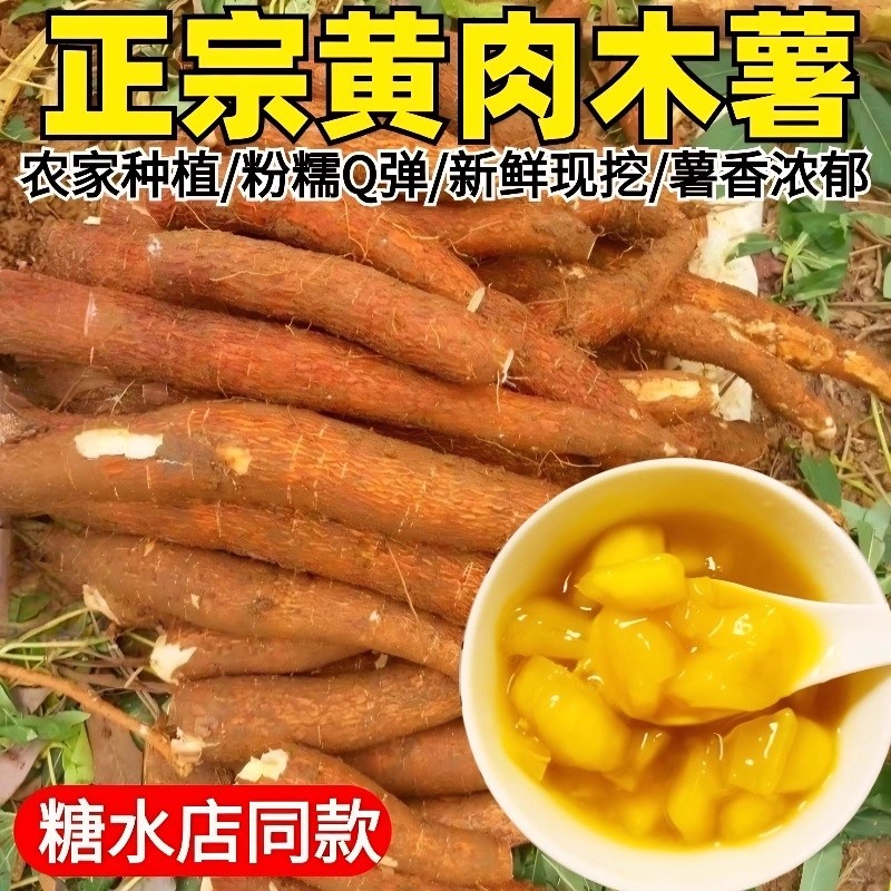 广西特产黄心木薯新鲜现挖