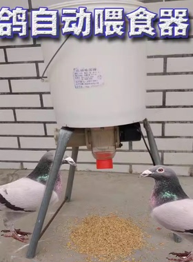 智能定时远程下料器手机一键操控透明可视防卡料鸡鸭鹅家禽养殖