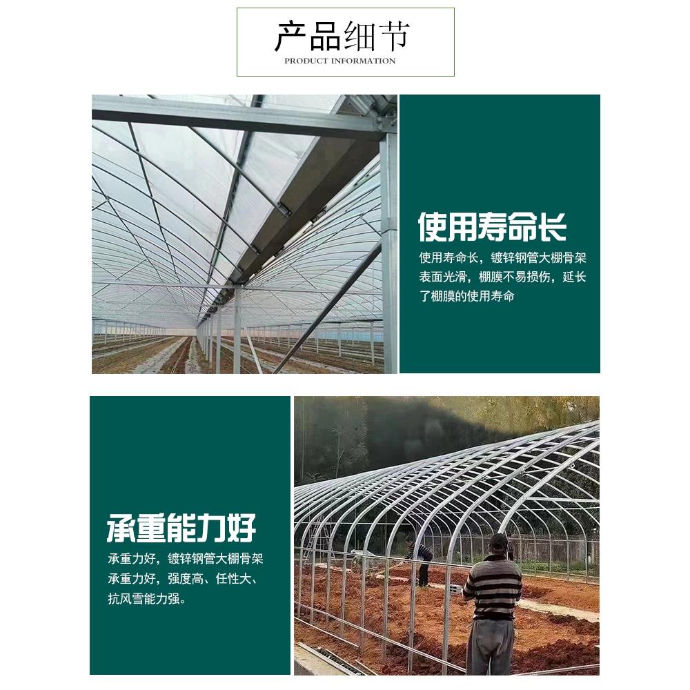大棚骨架钢管全套蔬菜种植养殖猪牛鸡椭圆管半坡暖棚保温钢架连栋