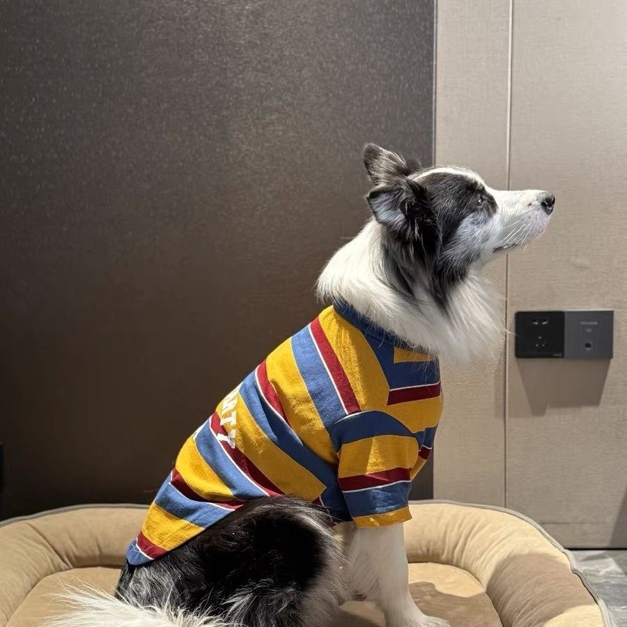 大狗衣服运动衫三色条纹衫可爱英文字母印花帅气中大型犬薄款边牧