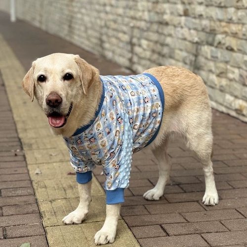 狗狗大狗衣服拉布拉多边牧金毛大型犬短款薄款宠物关节护肘护膝服