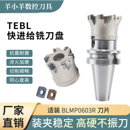 特固克TEBL06快进给双面铣刀盘
