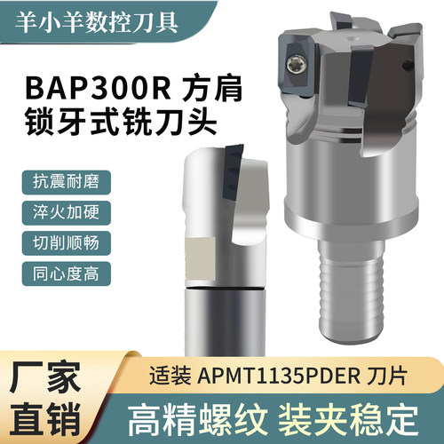 BAP300R锁牙式方肩铣螺纹刀头