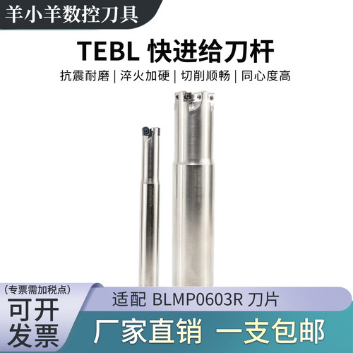 数控TEBL06快进给铣刀杆