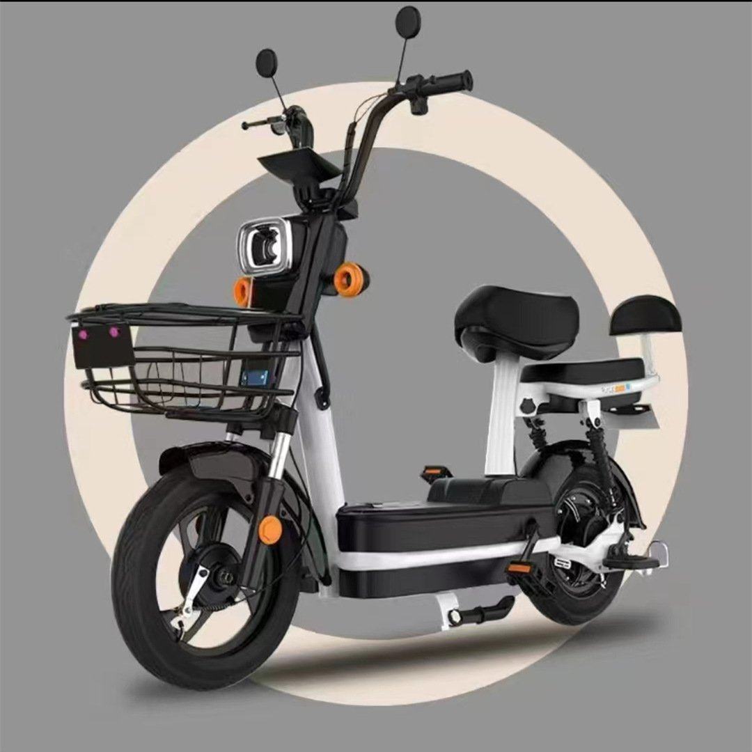 跨境新国标电动车2025新款二轮电动自行车可上牌超长续航锂电新款