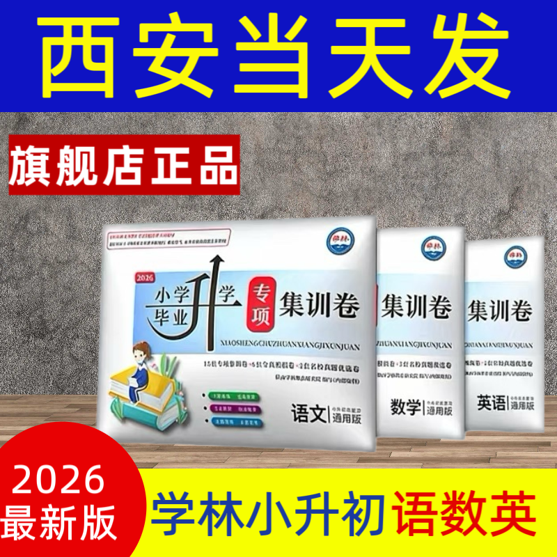 新版学林小升初总复习-小学毕业升学·专项集训卷（专项+模拟+真题）六年级升初中小考语文数学英语通用版学林教育中心研究院