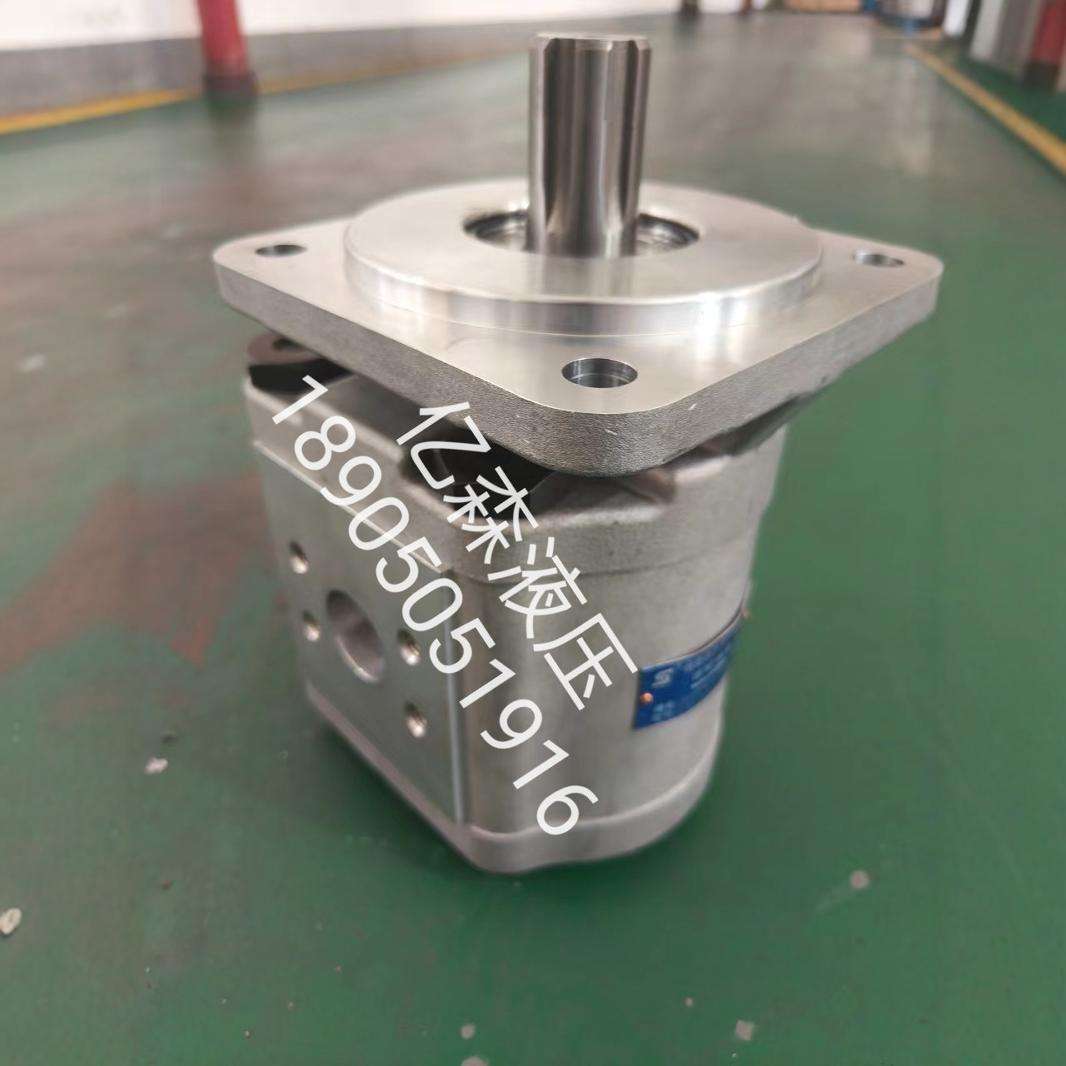 合肥赛源SY齿轮泵CBG-2063-BFHL长源型液压泵高压大排量齿轮油泵