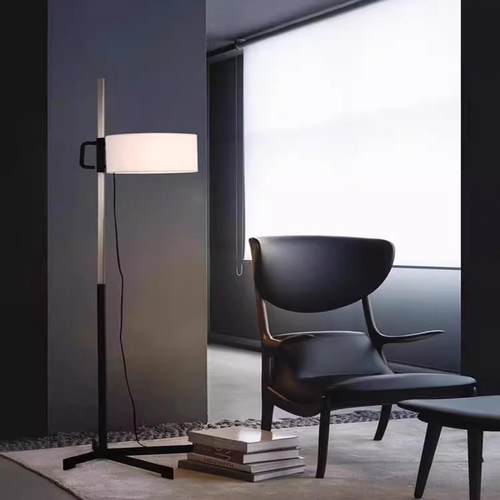 落地灯客厅北欧轻奢沙发边设计感简约书房卧室房床头立式落地台灯