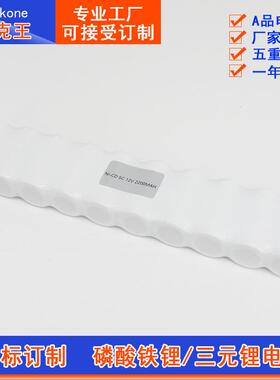 SC镍氢12V2200mAh大容量持久续航应急照明灯三防灯遥控车电池