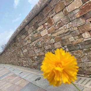 供应绿石英文化石新农村建设蘑菇石提升量化epc海绵城市外墙砖