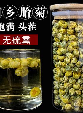 桐乡胎菊王头茬采摘正宗菊花非特级正品非杭白菊菊花茶爷爷家的蜜