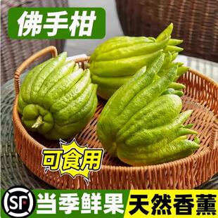 云南佛手现摘新鲜佛手柑鲜果观赏可食用供水培天然香薰放黄香气浓