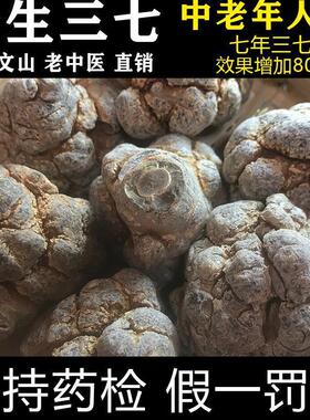 正品野生三七特级20头18头田七中药材云南文山纯三七粉官方旗舰店