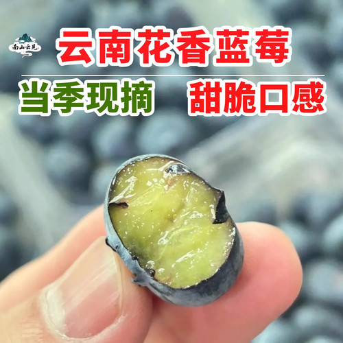 当季云南花香蓝莓鲜果L25蓝莓高山脆纯甜特大新鲜水果孕妇礼盒装