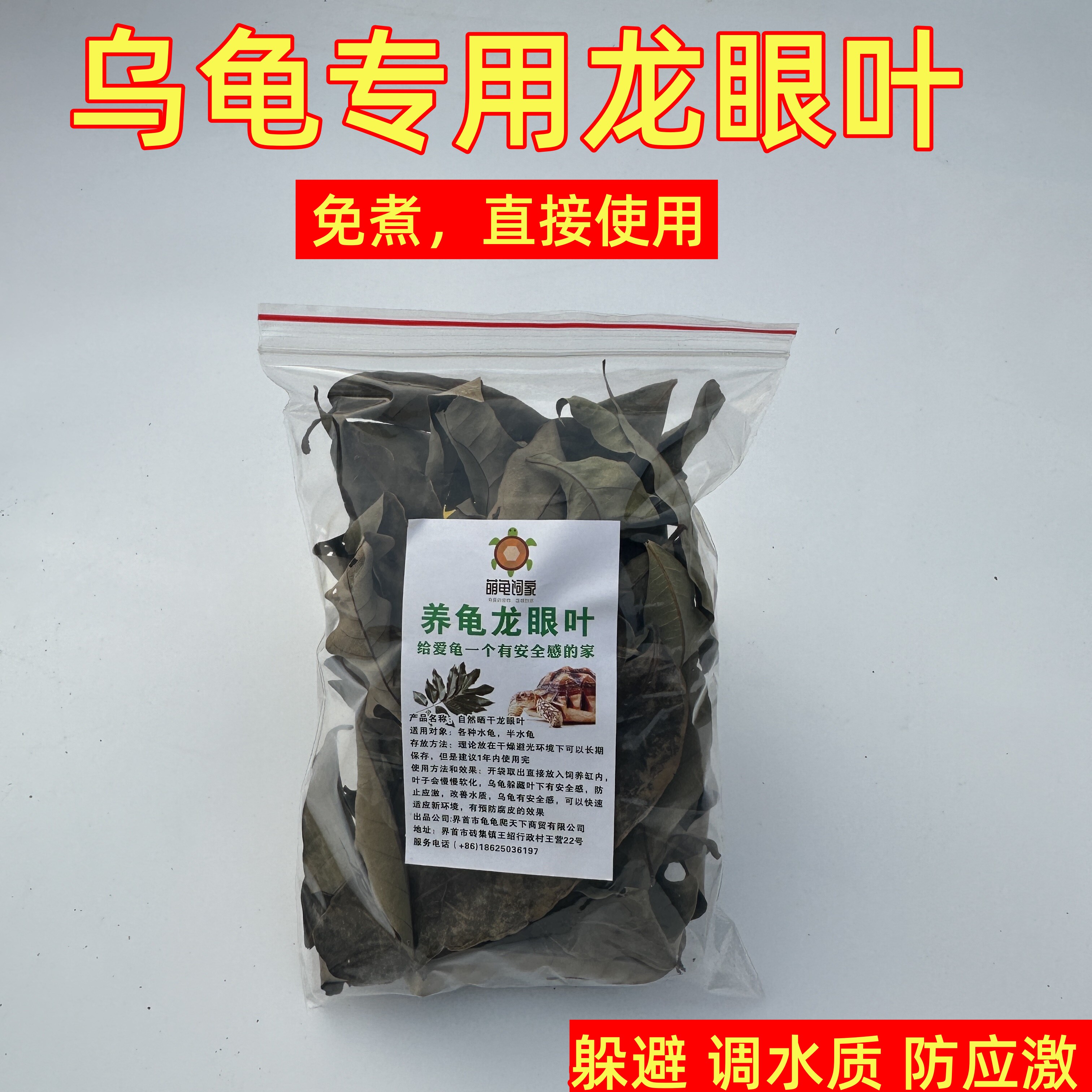 萌龟饲家养龟龙眼叶躲避预防腐皮图片