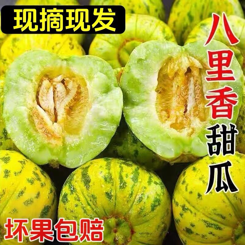 花美人甜瓜八里香花姑娘香瓜新鲜应季时令水果新鲜现摘脆甜蜜瓜